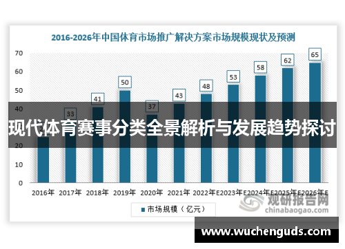 现代体育赛事分类全景解析与发展趋势探讨