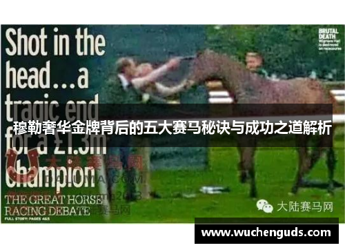 穆勒奢华金牌背后的五大赛马秘诀与成功之道解析