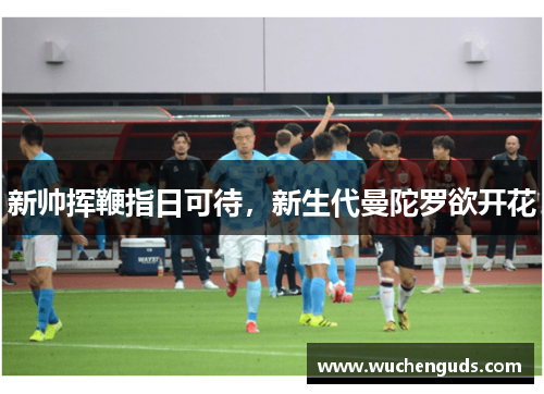 新帅挥鞭指日可待，新生代曼陀罗欲开花