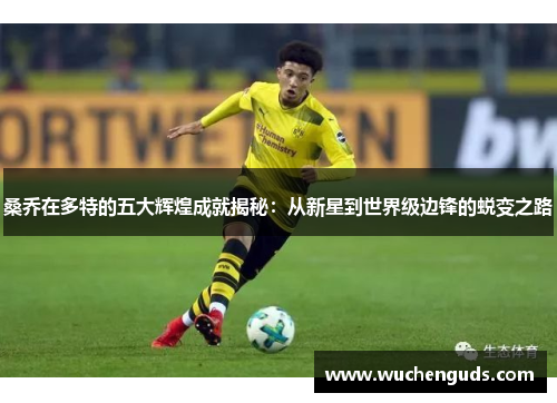 桑乔在多特的五大辉煌成就揭秘：从新星到世界级边锋的蜕变之路