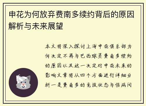 申花为何放弃费南多续约背后的原因解析与未来展望
